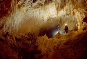 waitomo-caves-new-zealand